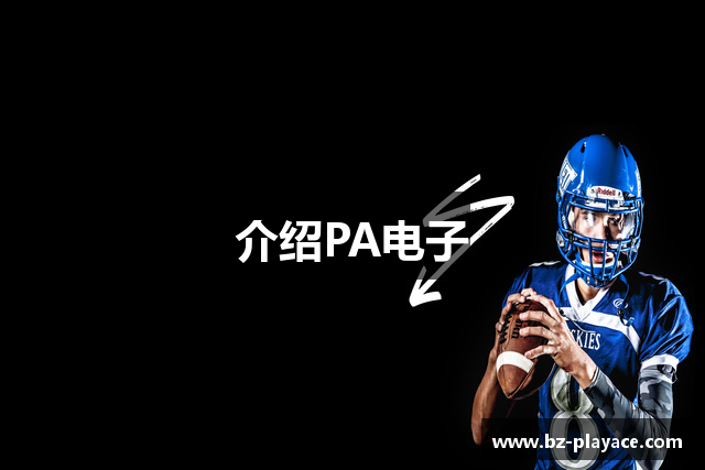 介绍PA电子