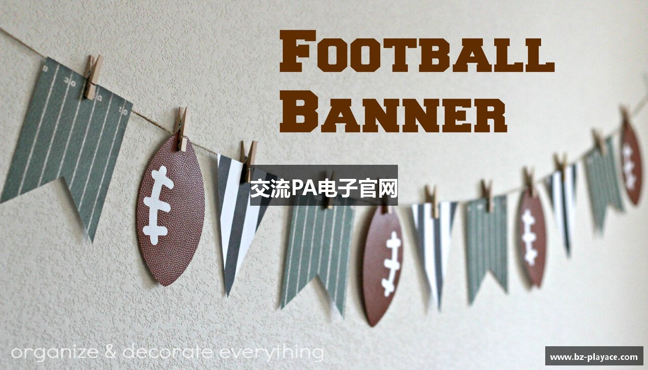 交流PA电子官网